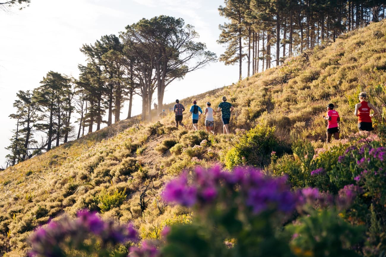 Signal Hill trail loops at golden hour